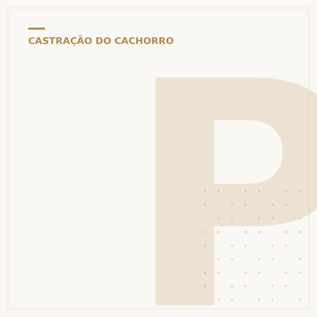 Pode castrar a cadela antes do primeiro cio?