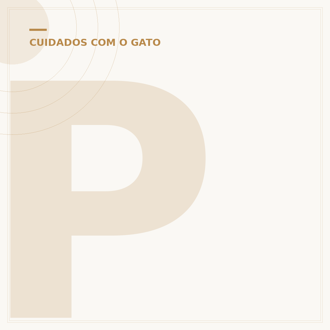 Pode dar catnip para gato filhote?