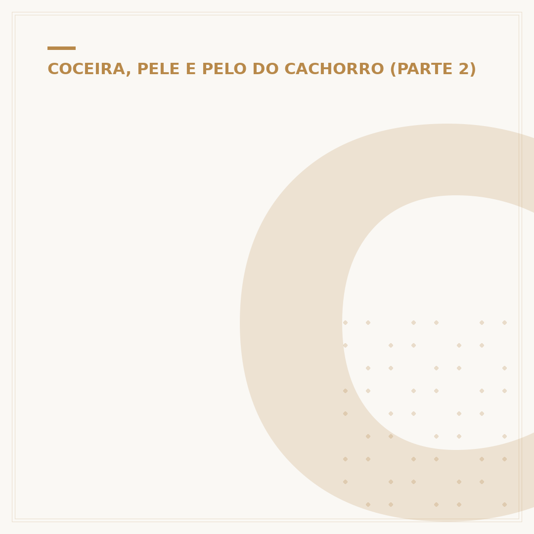 Cetoconazol para dermatite canina: combate e controle
