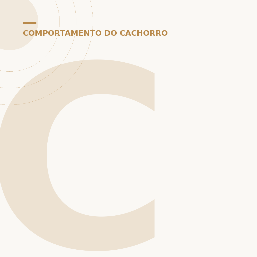 Chá para cachorro dormir: calmantes naturais para seu cão