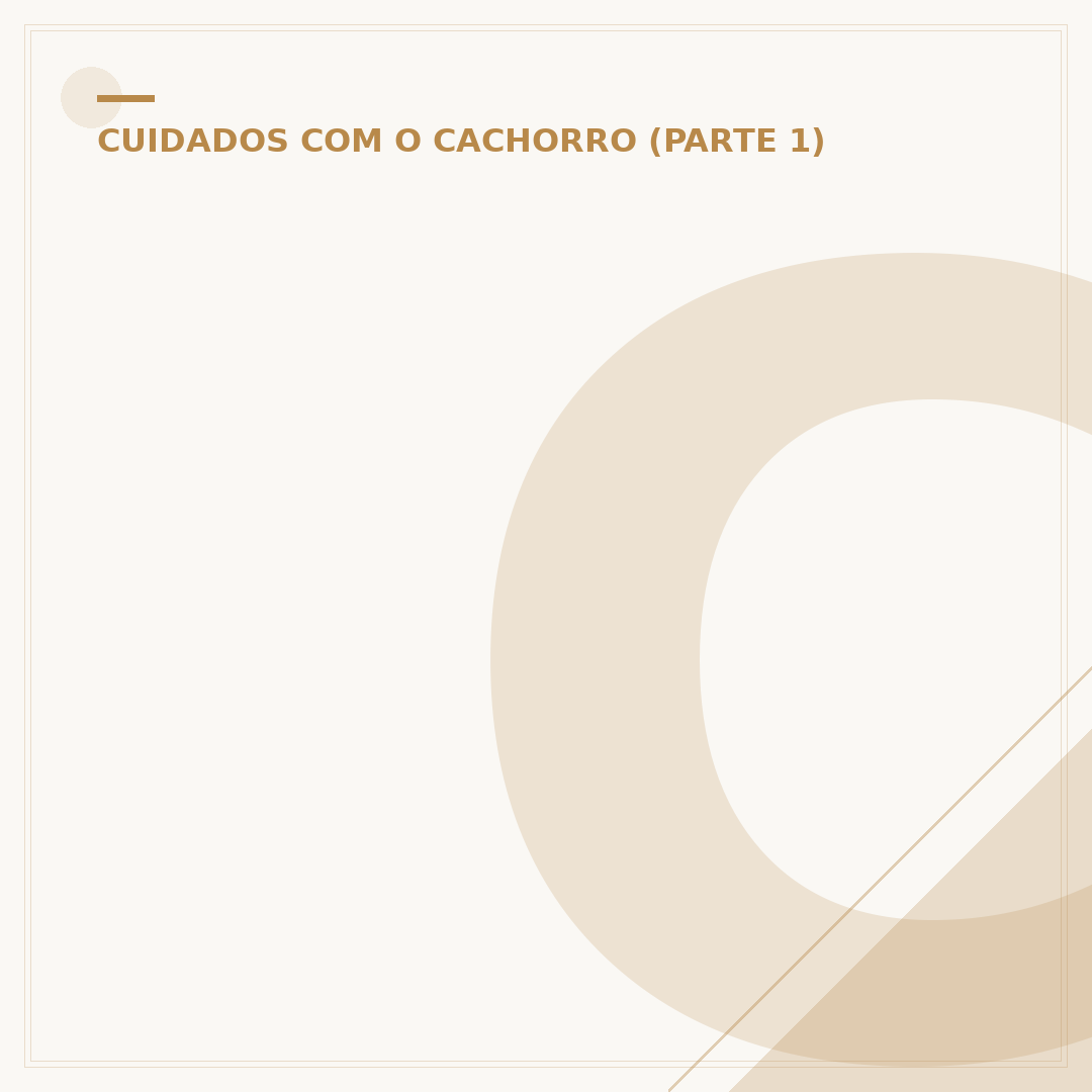 Ciclo de vida do cachorro: fases e cuidados