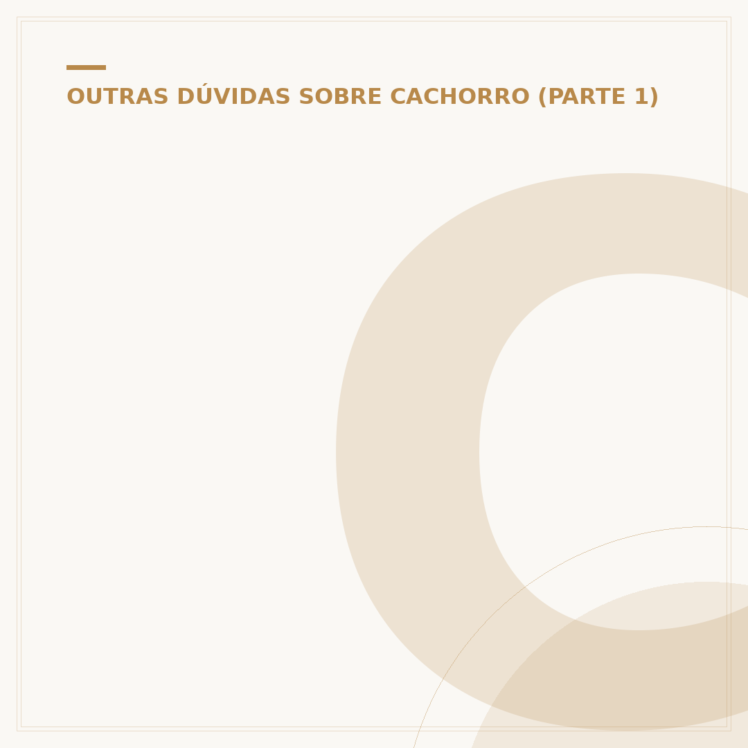Cinto de segurança para cachorro: proteja seu pet no carro