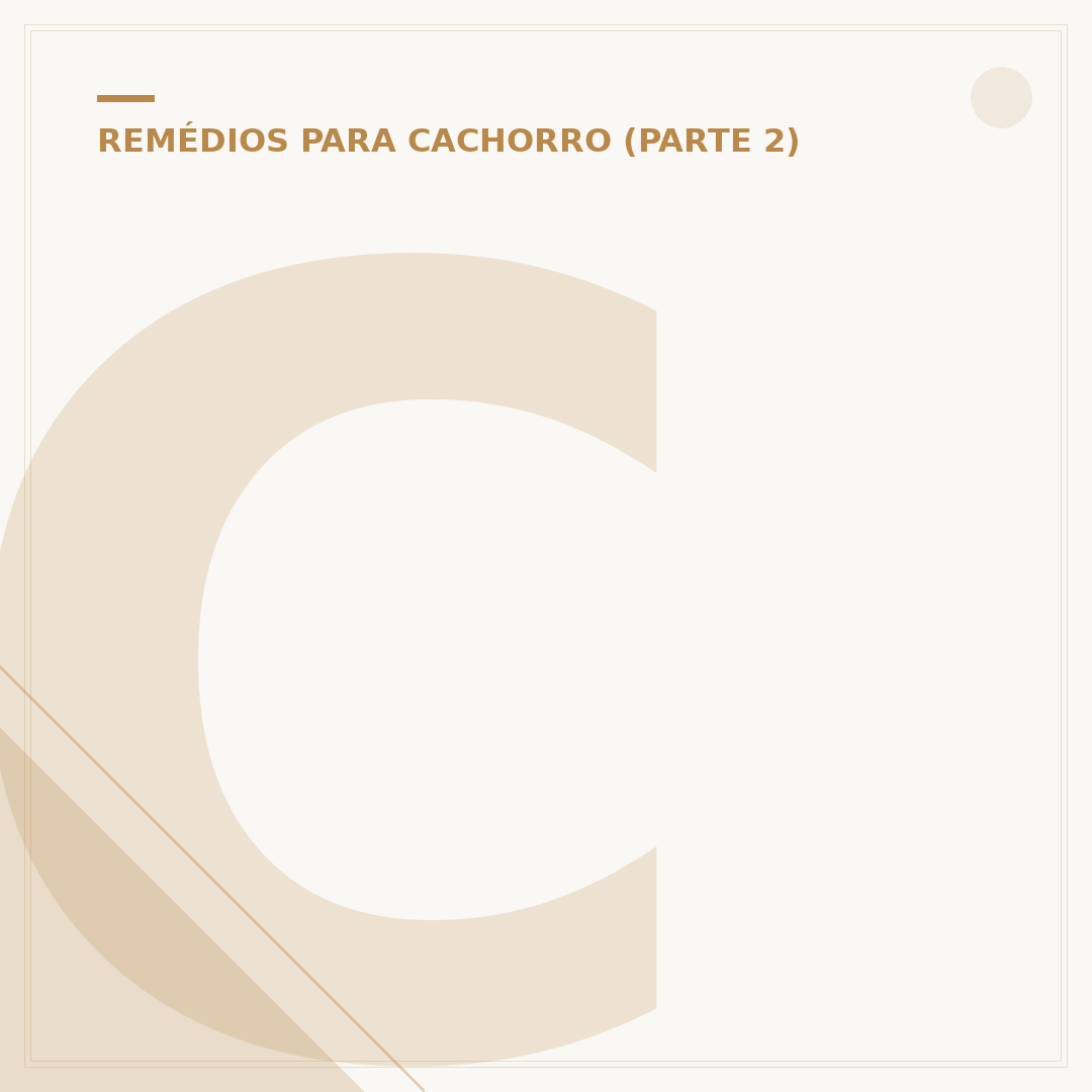 Clorexidina em cachorro: para que serve e como usar