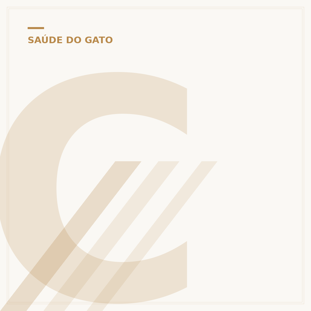 Colangite em gatos: o que é e como tratar