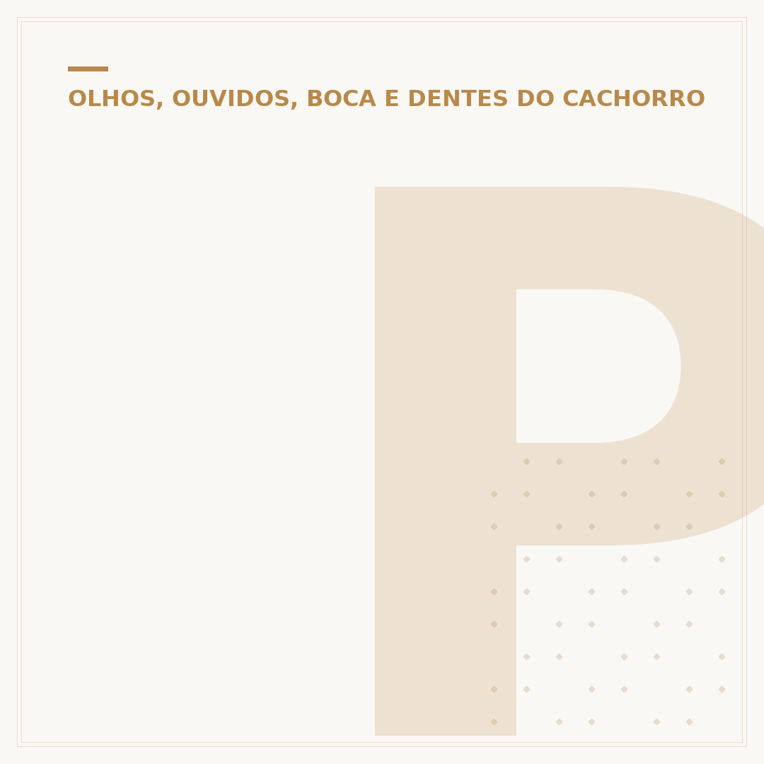 Pode colocar colírio no olho do cachorro?