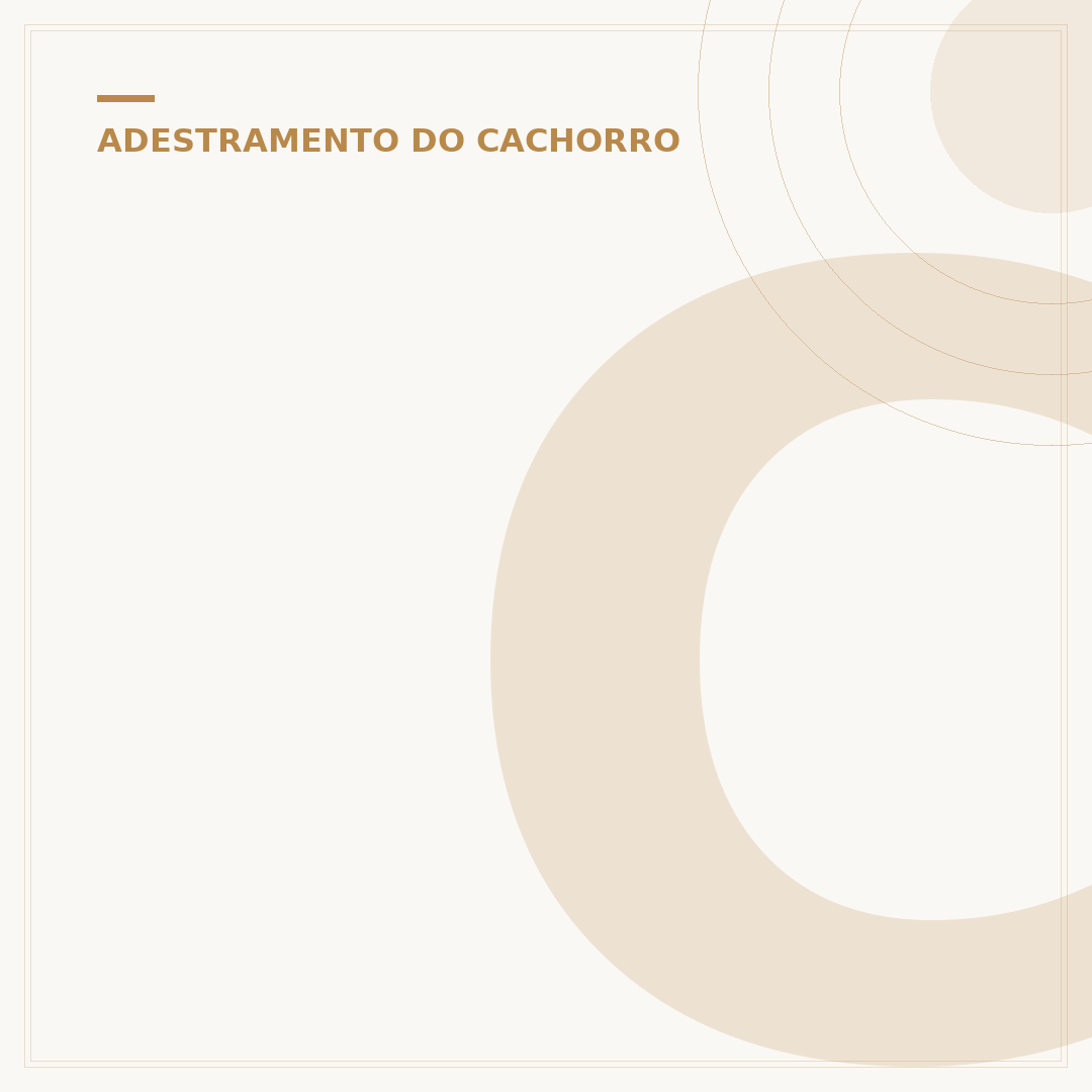 Como adestrar um cachorro