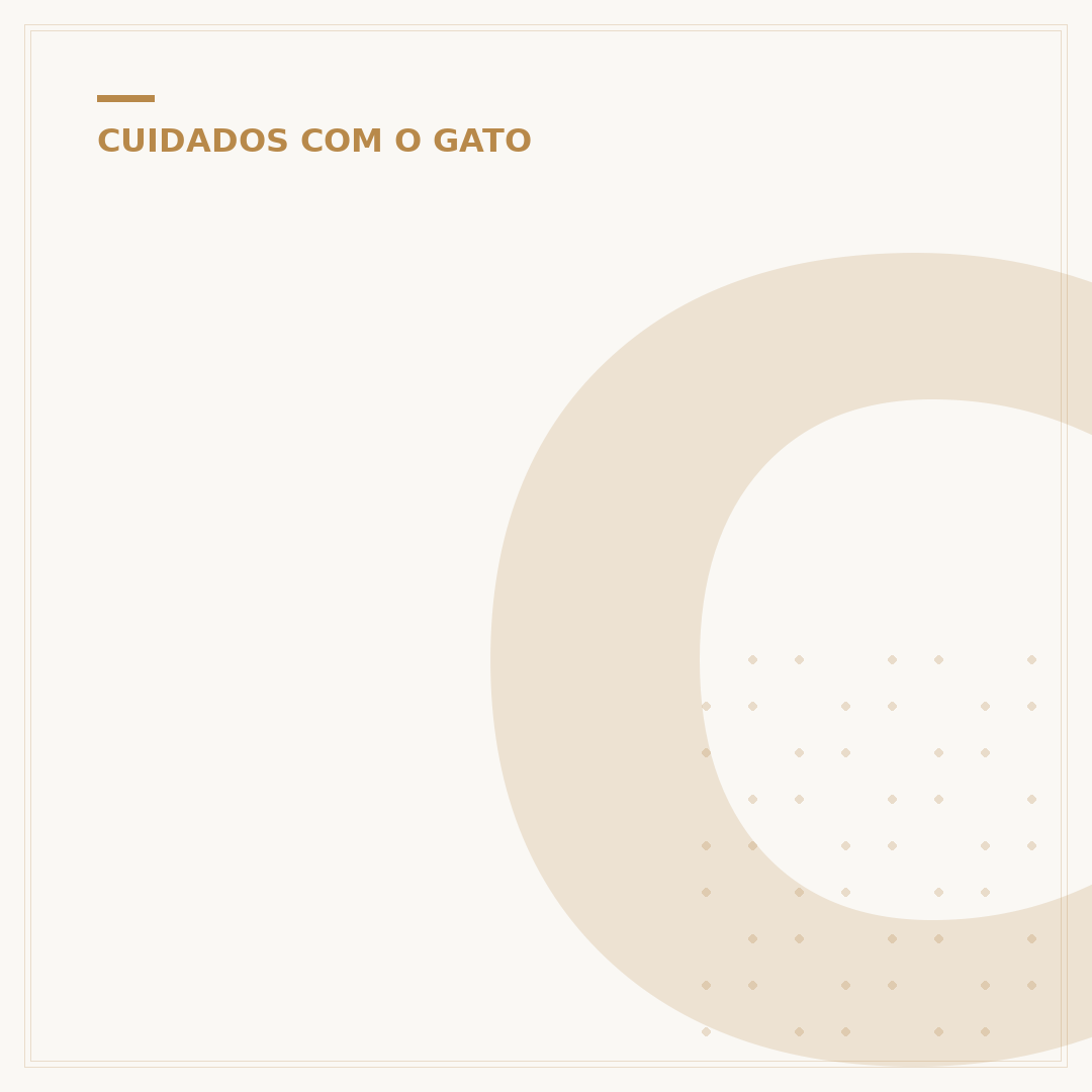 Como alimentar um filhote de gato