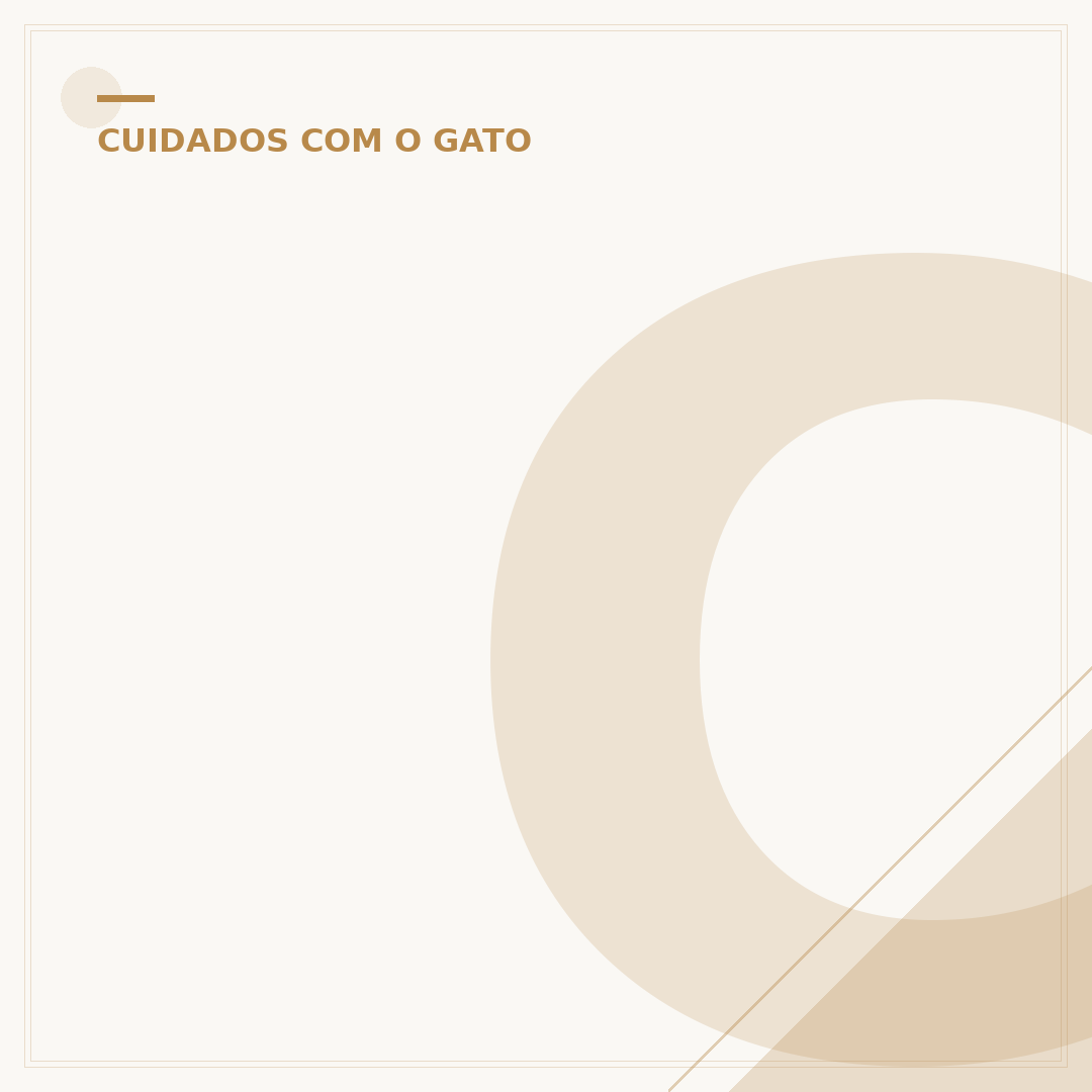 Como cuidar de um gato