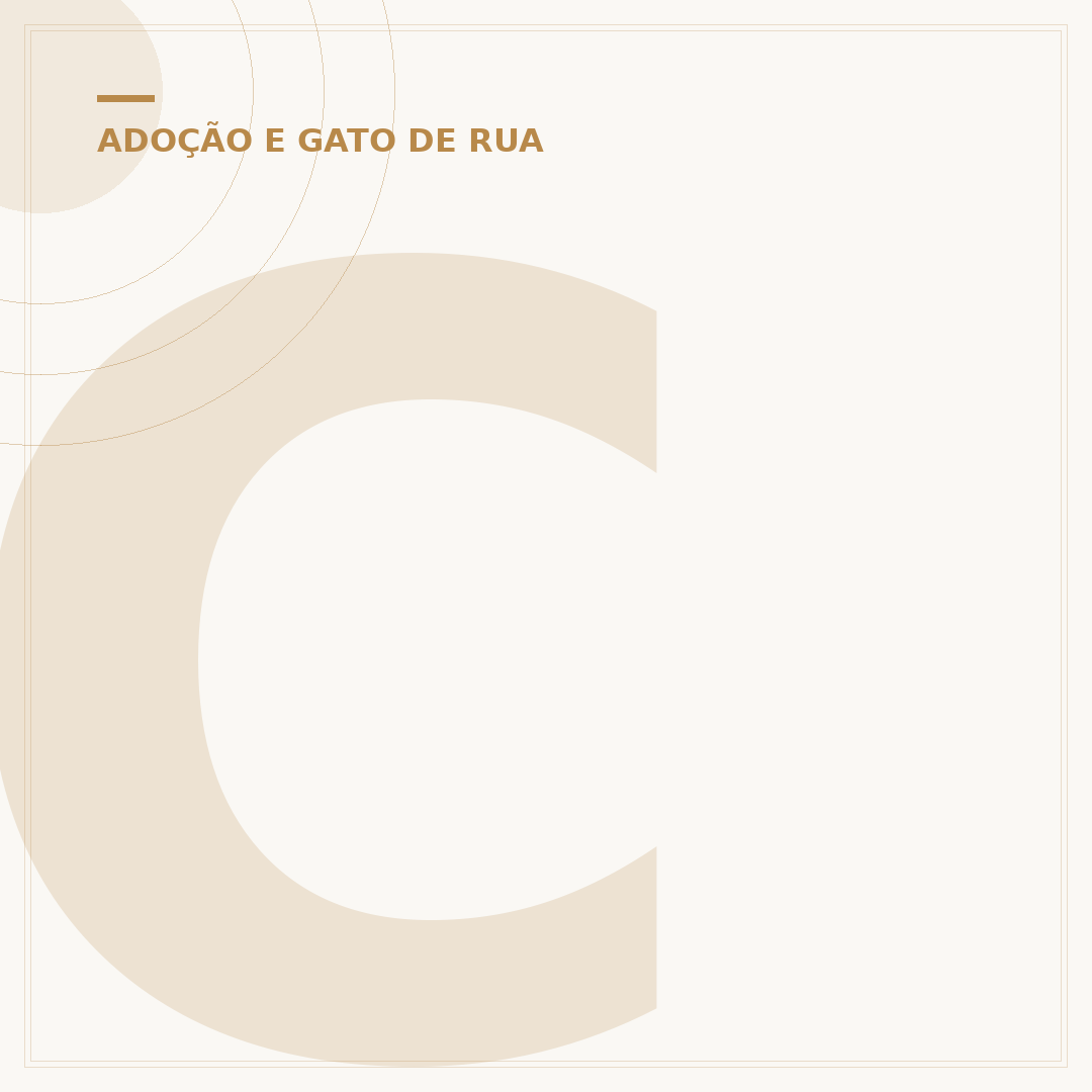 Como espantar gato de rua de casa