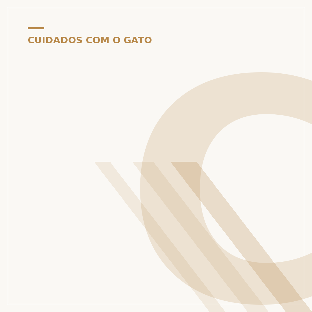 Como saber o sexo do gato