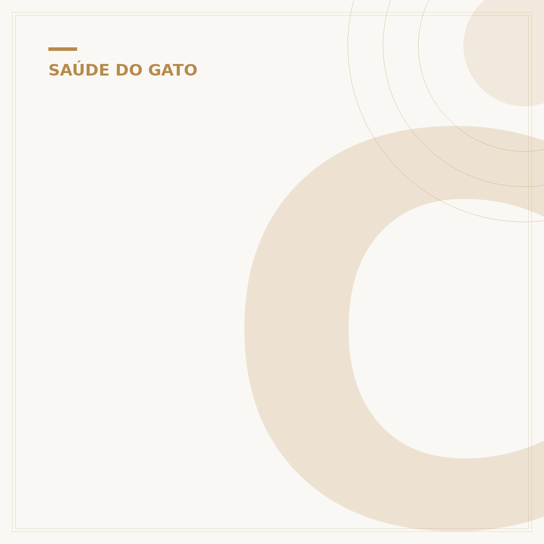 Conjuntivite em gato filhote