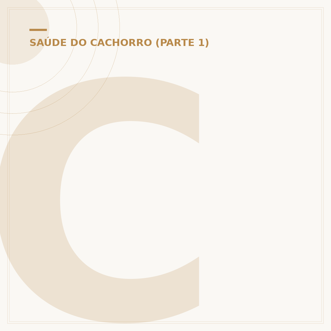 Conjuntivite em cachorro: como saber se pega e o que fazer