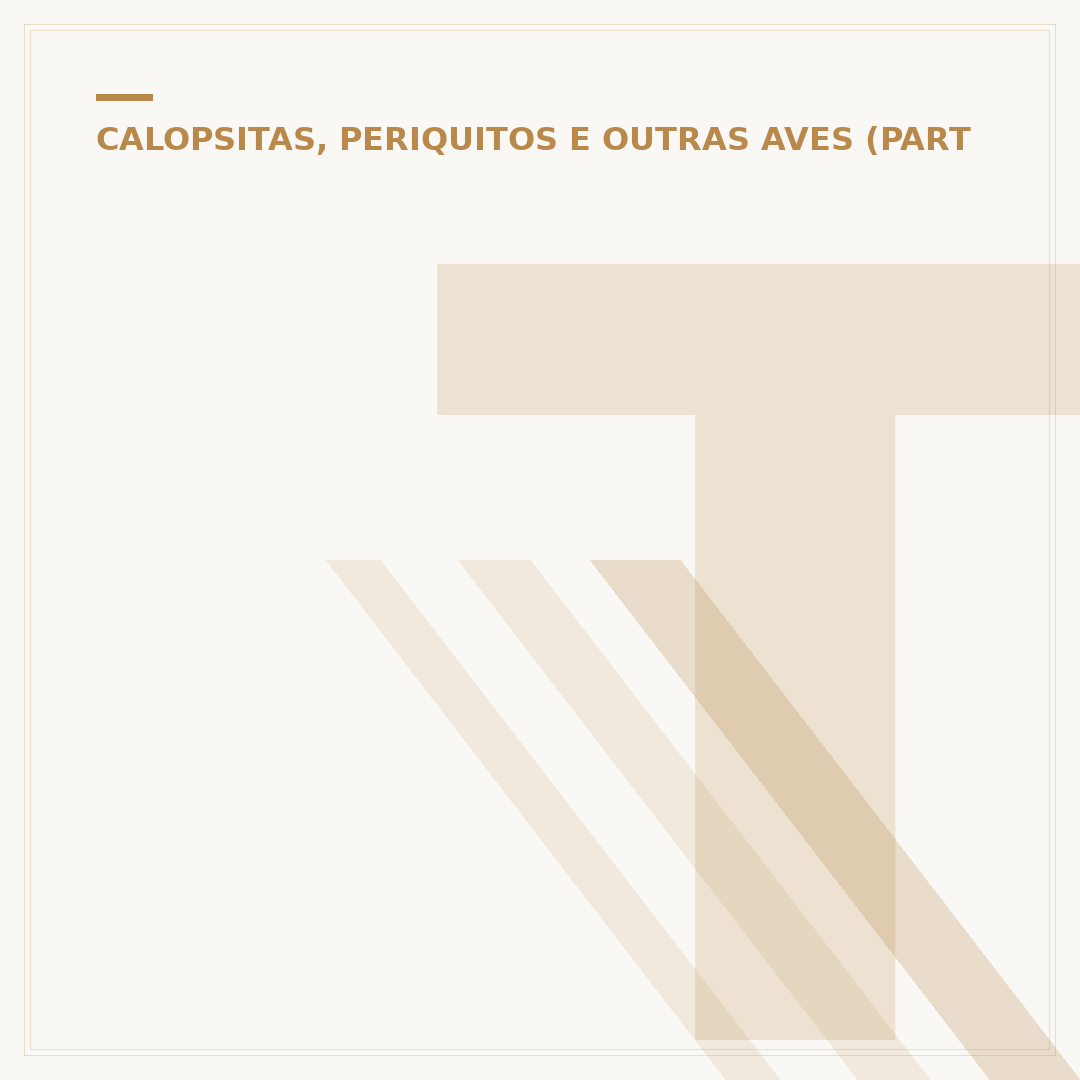 Todas as cores de calopsita