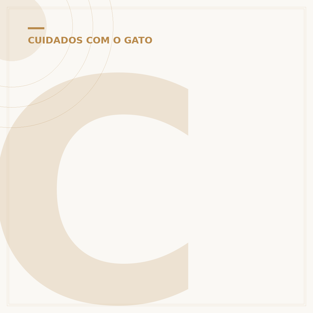 Como cuidar de um gato recém-nascido