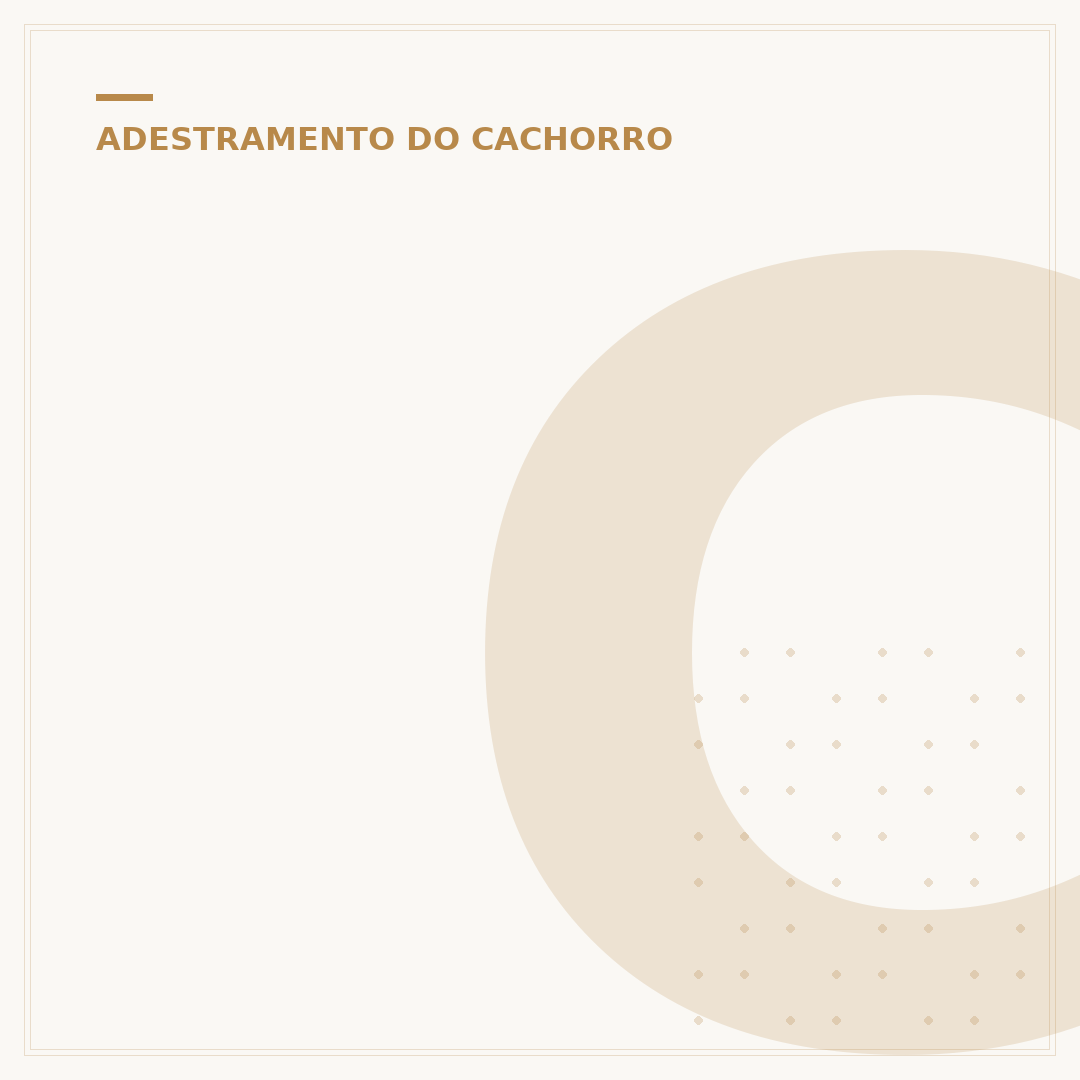 Curso de adestramento de cães SENAC: seu futuro profissional