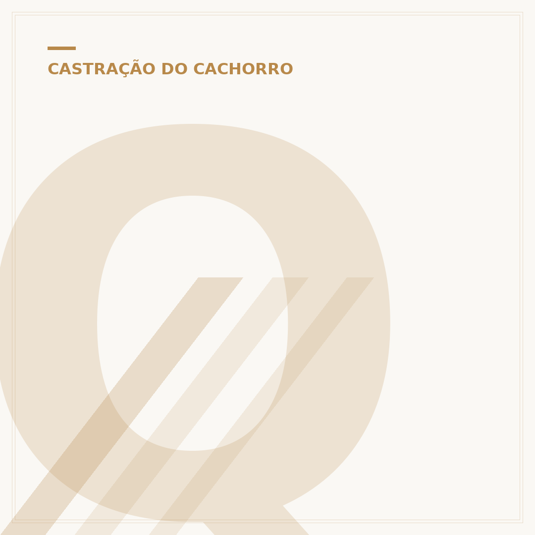 Quanto custa castração de cachorro fêmea?