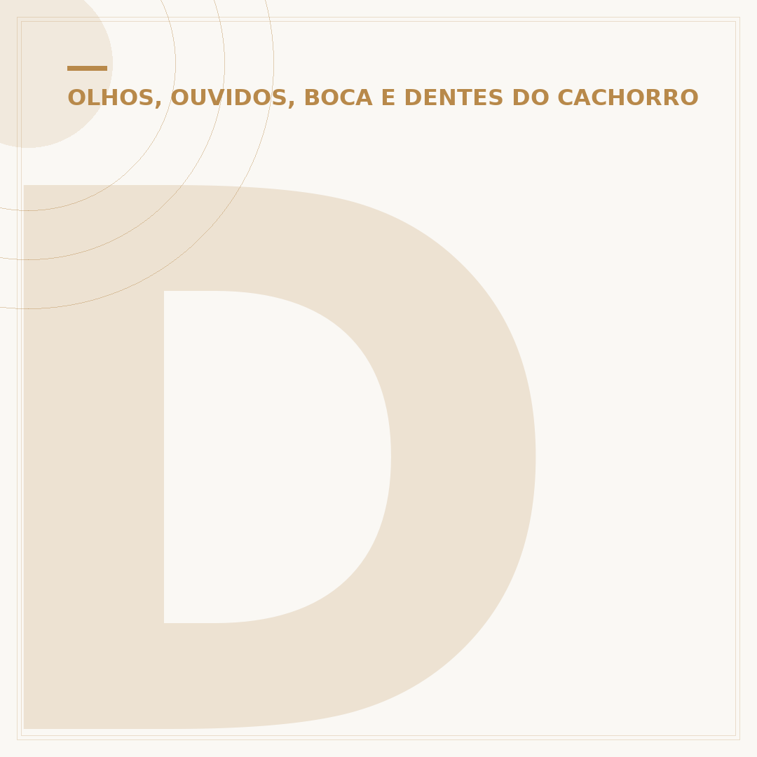 Dente de cachorro: cuidados e higiene bucal