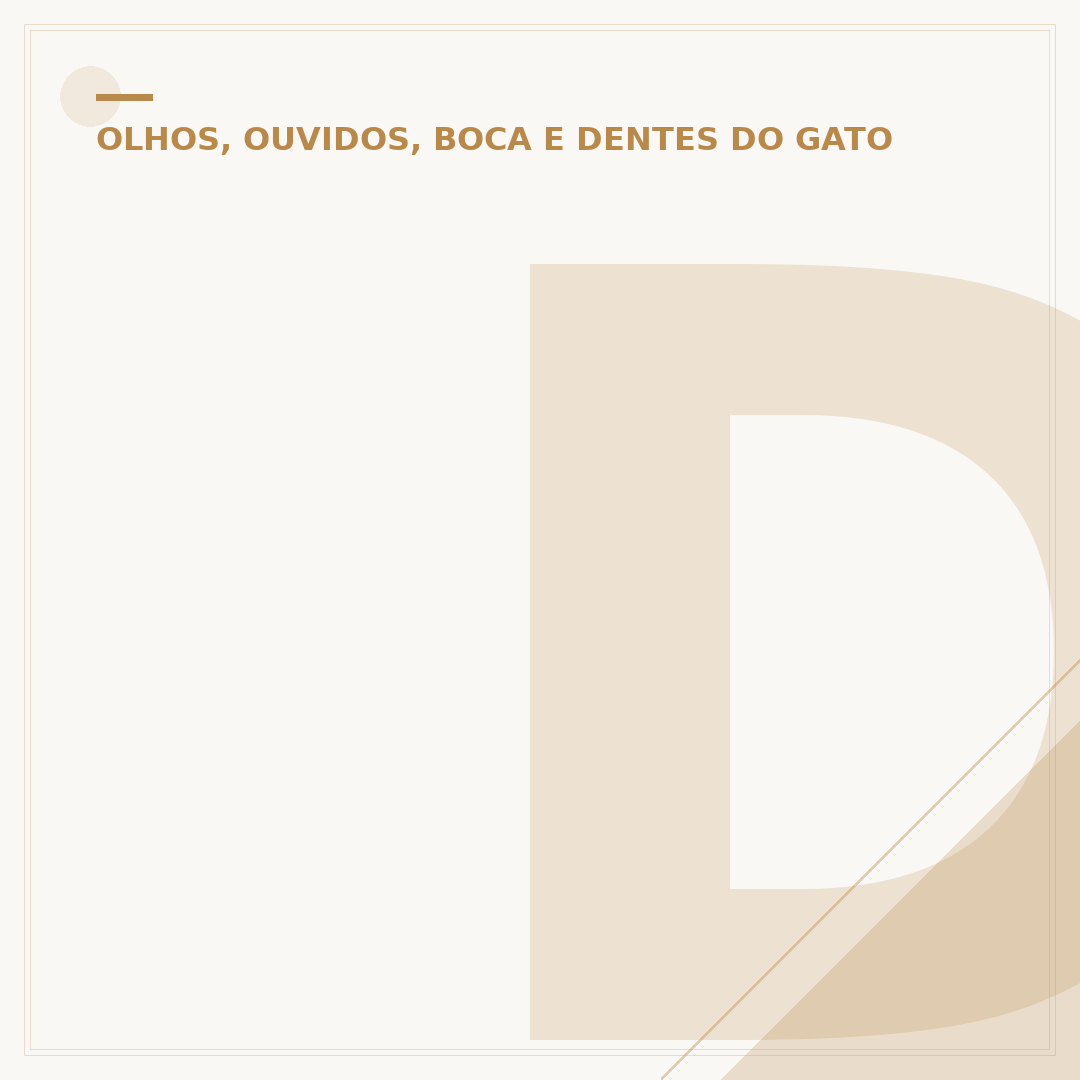 Dente de gato adulto: quando é hora de se preocupar?
