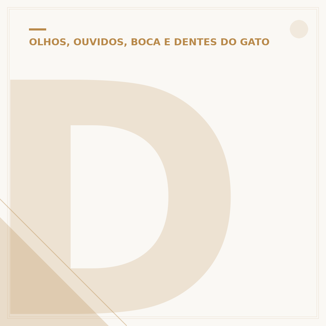 Dente de gato cai adulto: o que isso significa?