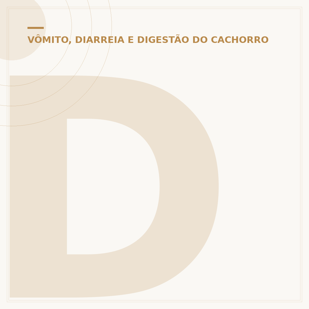 Dermatite na barriga do cachorro