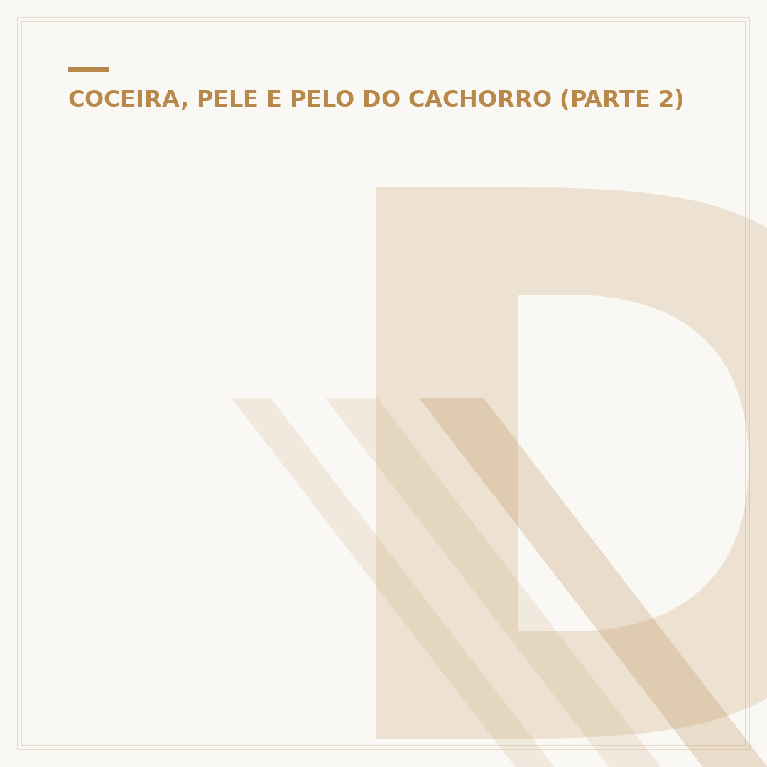 Dermatite úmida em cães: tratamento caseiro e cuidados