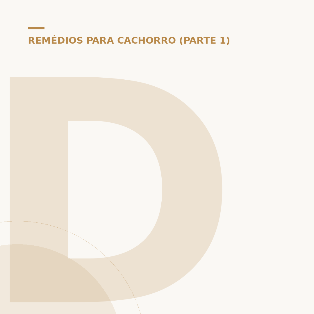 Dexametasona para cachorro: uso, riscos e alternativas