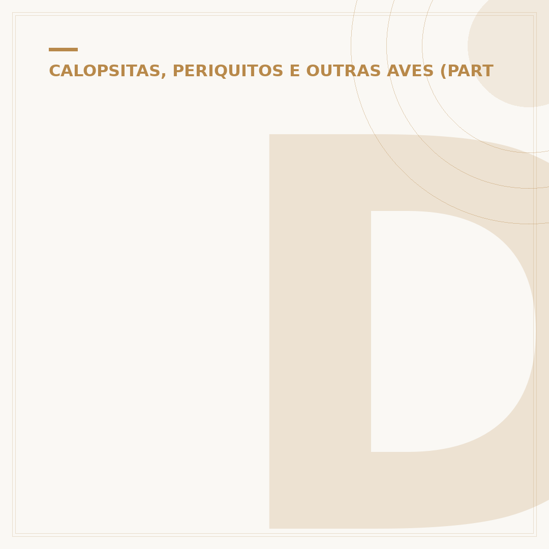 Diferença entre papagaio e maritaca: conheça as espécies
