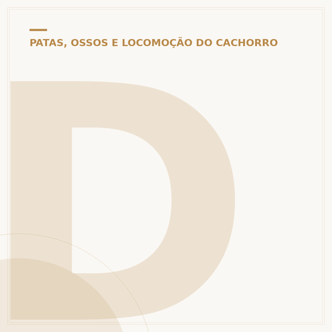 Displasia em cachorro tem cura?