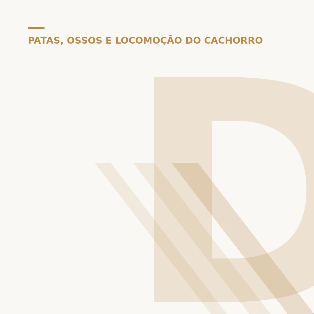 Displasia em cachorro: o que é e como cuidar