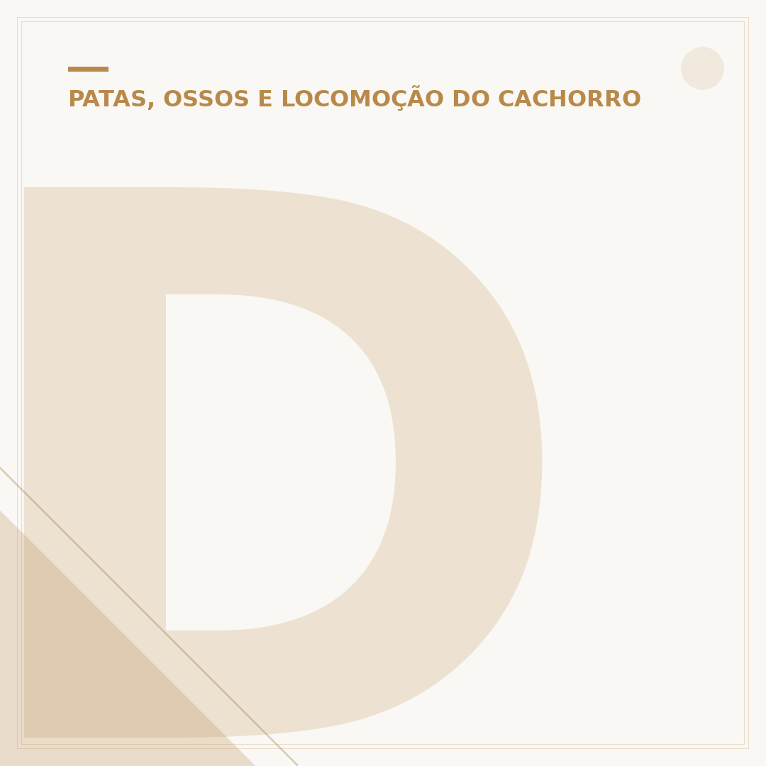 Displasia Coxofemoral em Cães: Opções de Tratamento