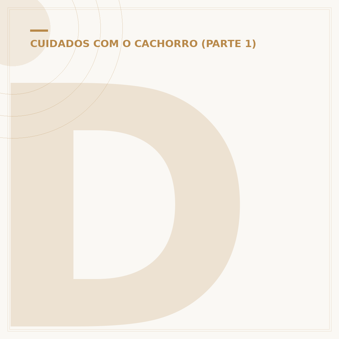 Doando filhote de cachorro: responsabilidades e cuidados
