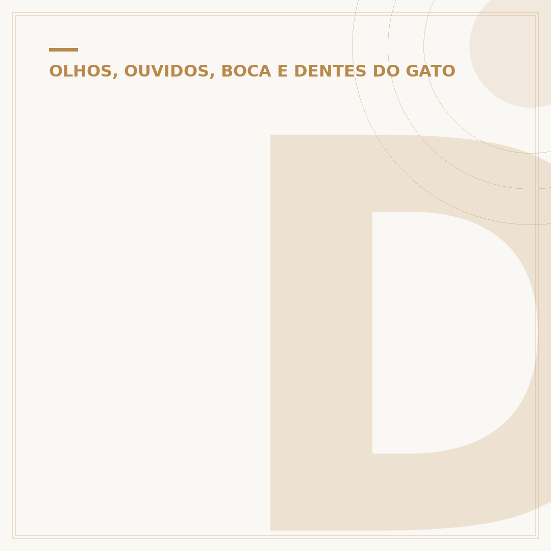 Doença do olho em gatos
