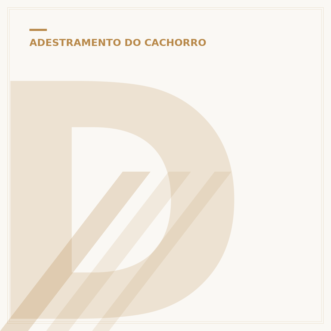 Dogbio Training: Treinamento e adestramento de cães
