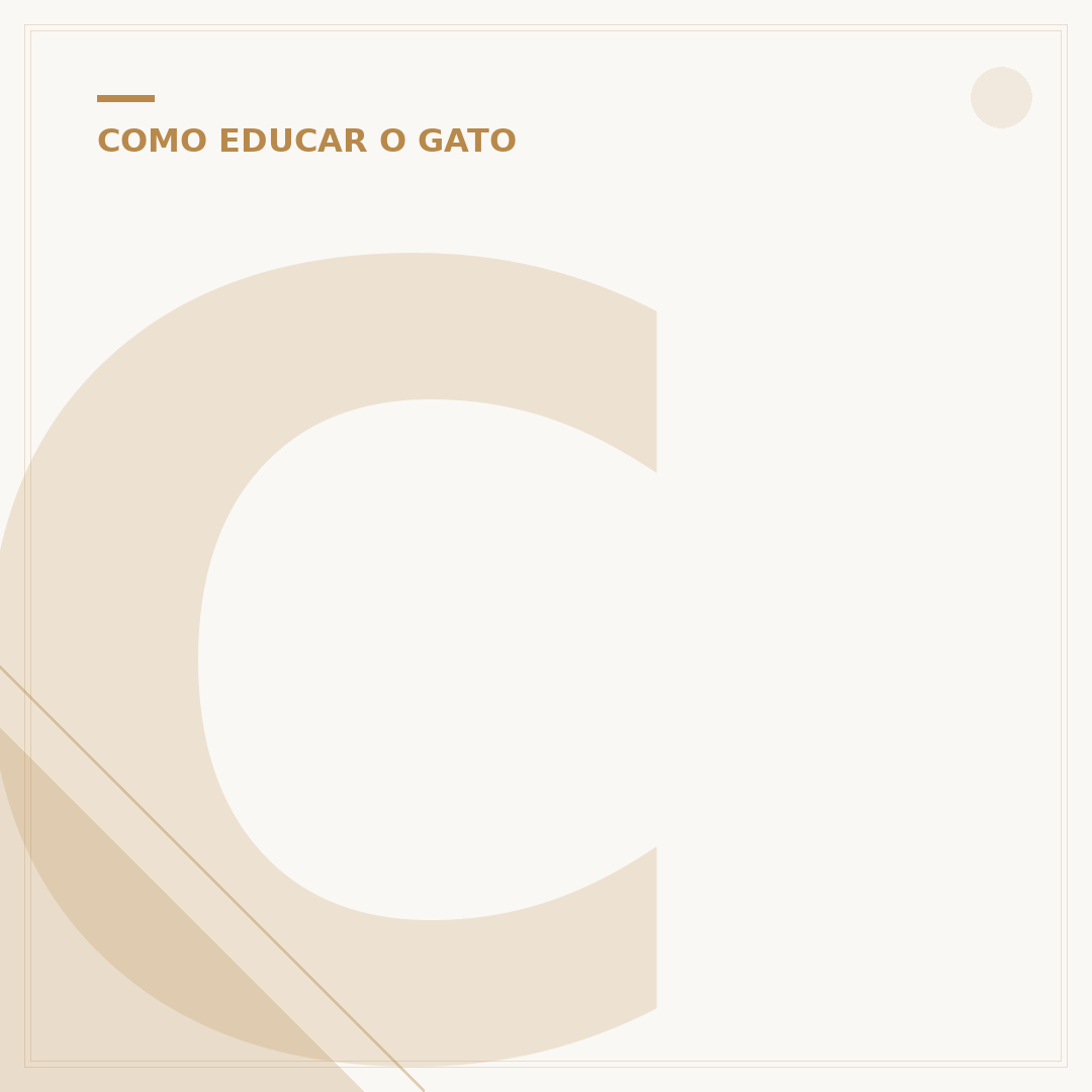 Como educar um gato filhote