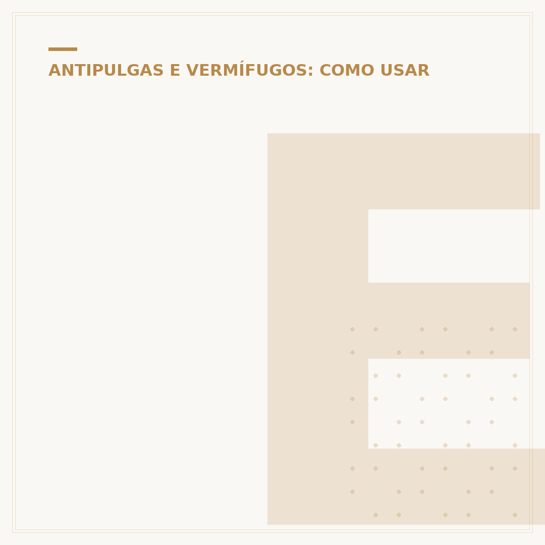Endogard composição: o que você precisa saber