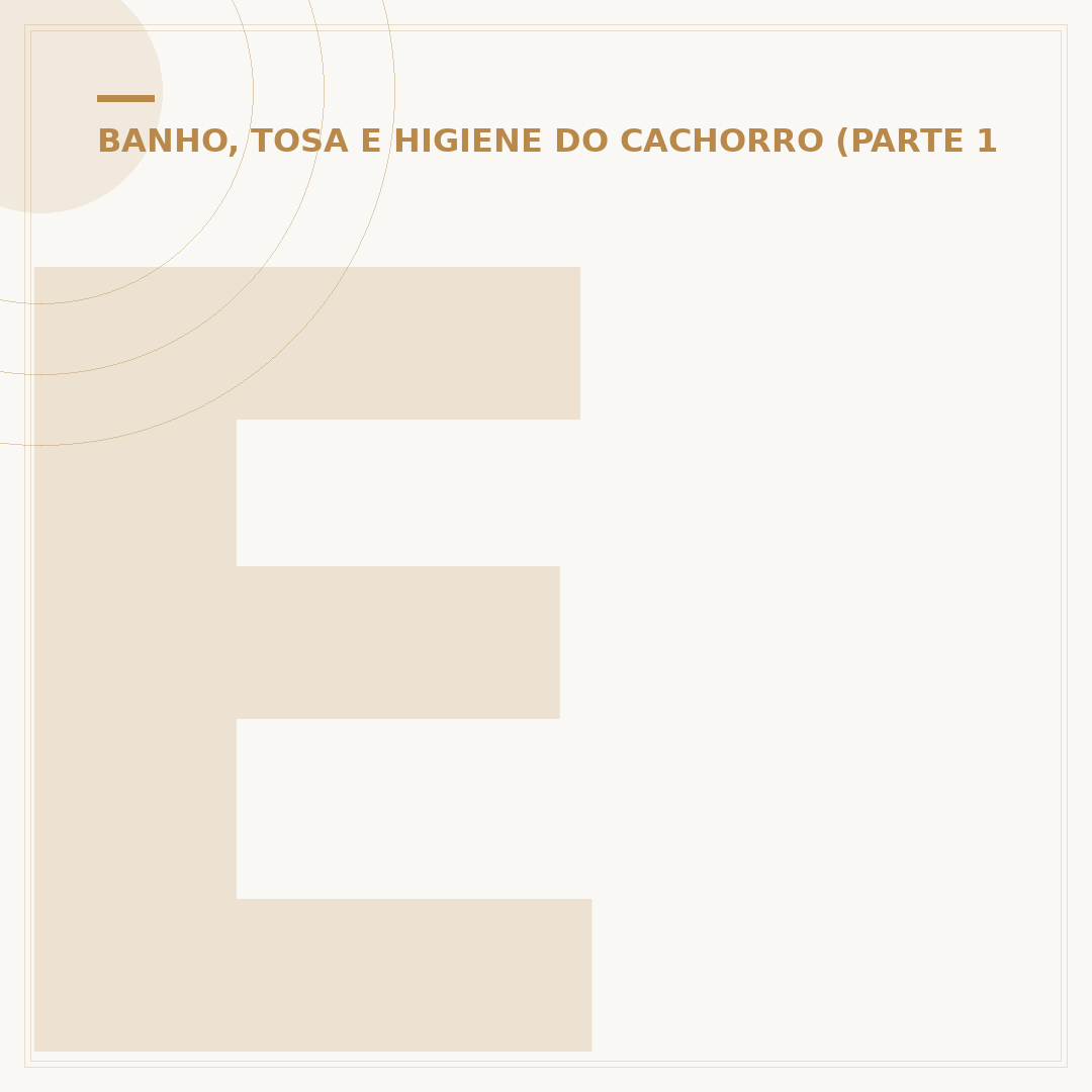 Escova para banho de cachorro: cuidados e tipos