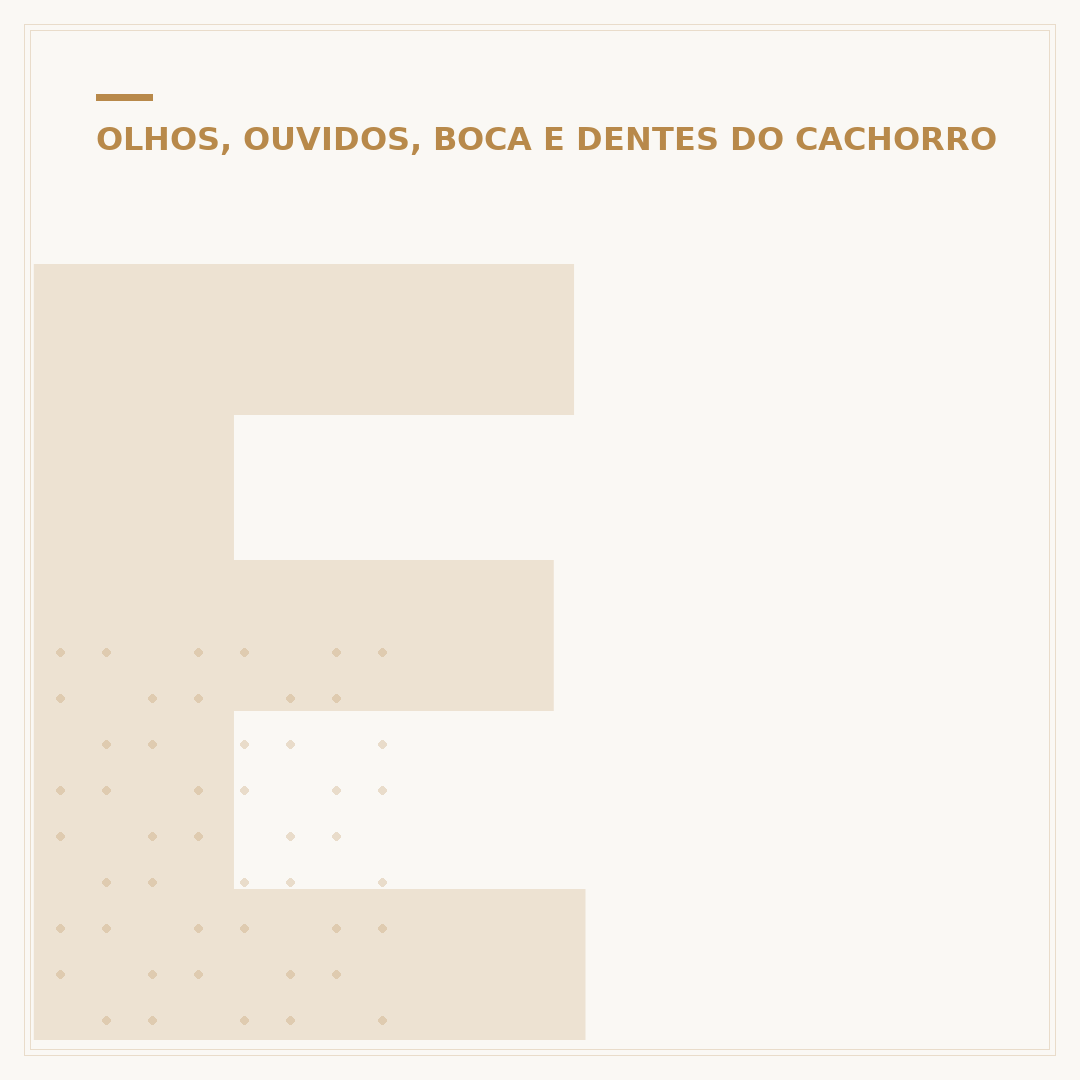 Escovação de dente cachorro: cuidados e benefícios