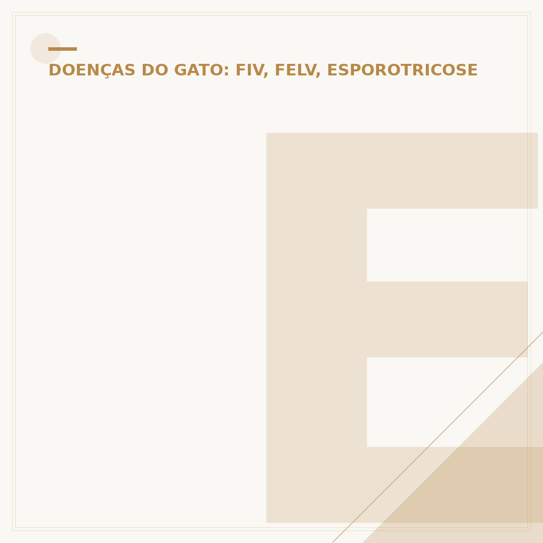 Esporotricose em gatos: entenda se tem cura e o tratamento