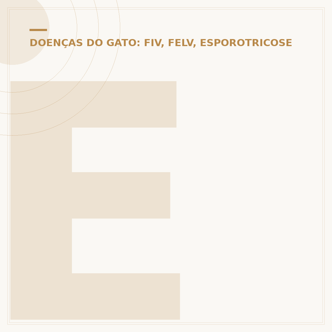Esporotricose em humanos: o que é a doença do gato