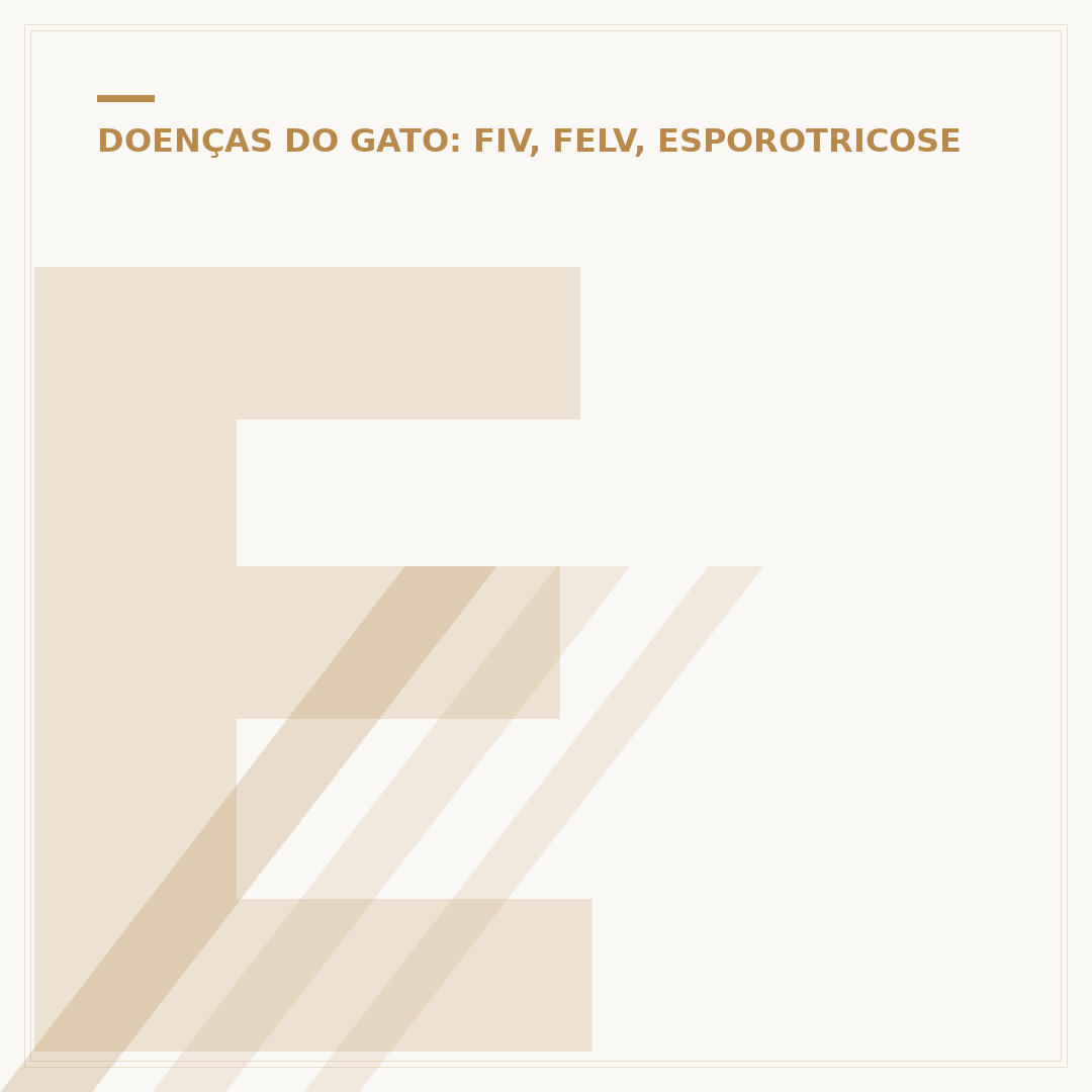 Esporotricose em gatos: sintomas, causas e tratamento