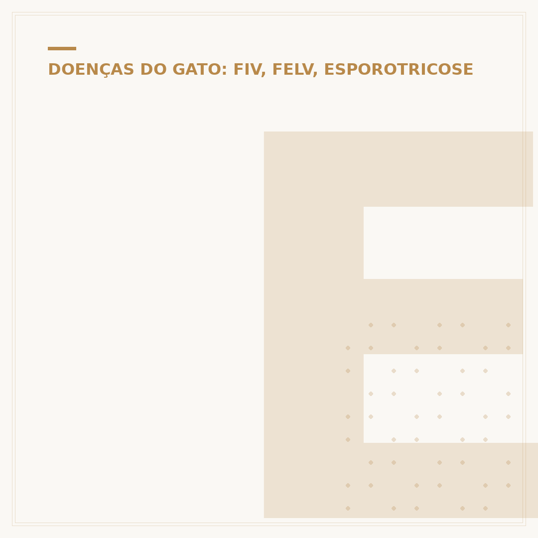 Esporotricose inicial em gatos: sinais e como agir