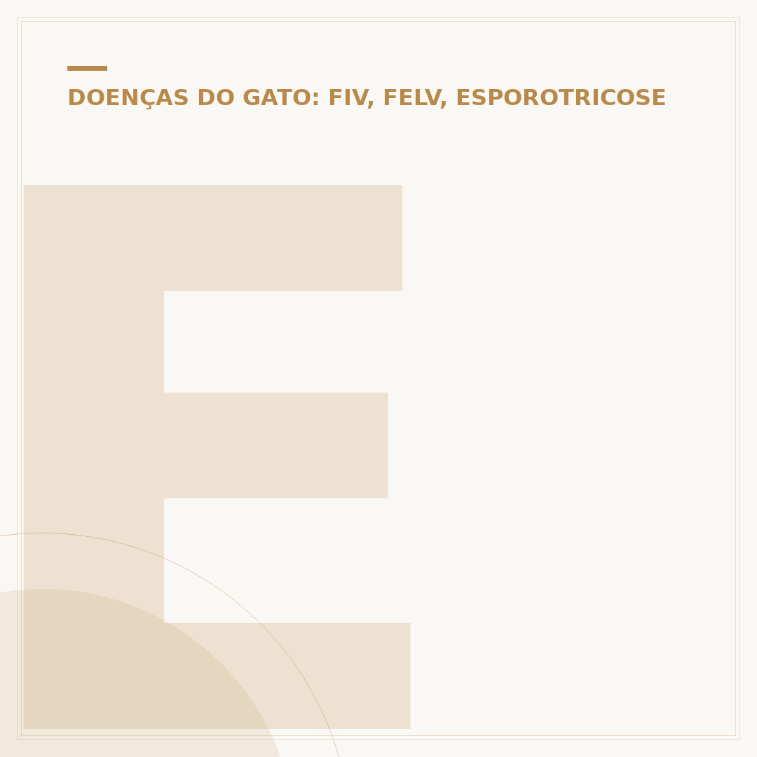 Esporotricose na pata do gato: sintomas, causas e tratamento