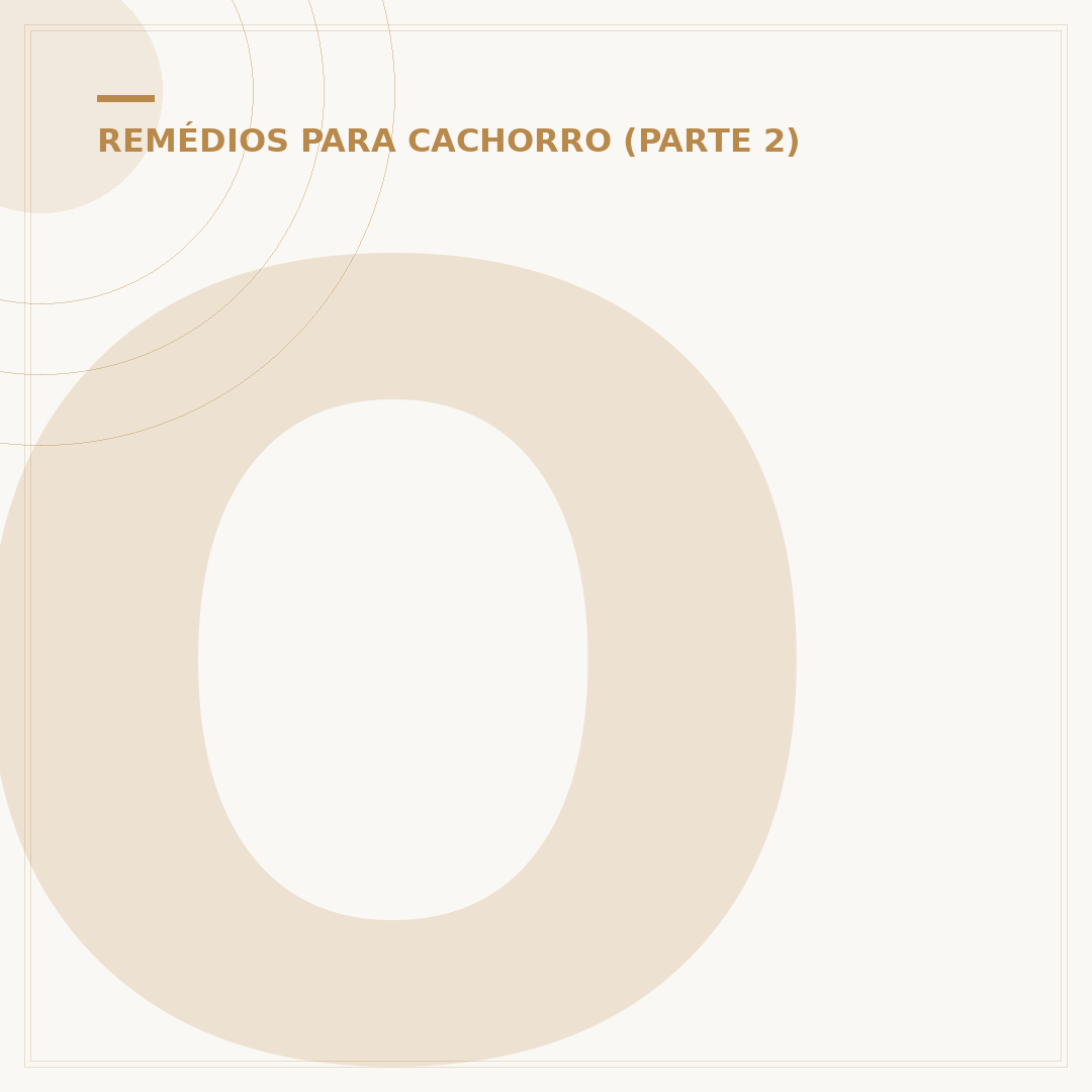 O que fazer para estimular o parto de uma cadela