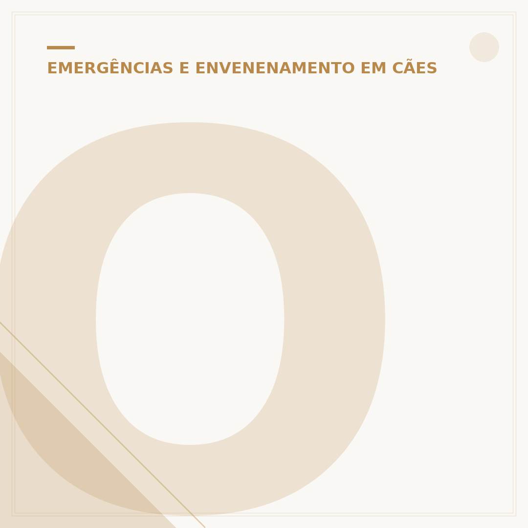 O Estranho Caso do Cachorro Morto: análise e contexto