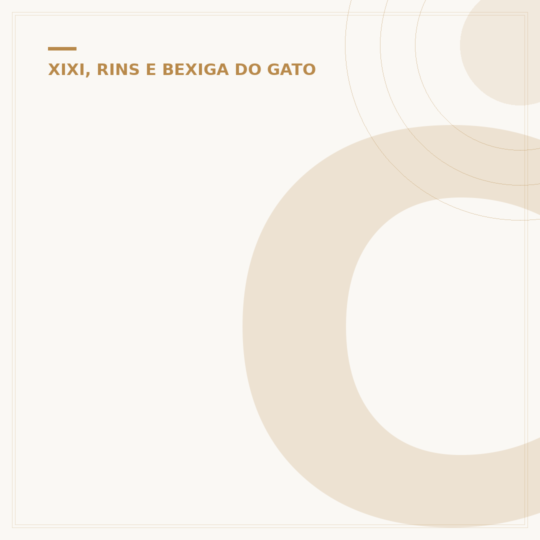 Como esvaziar a bexiga do gato: alívio e saúde