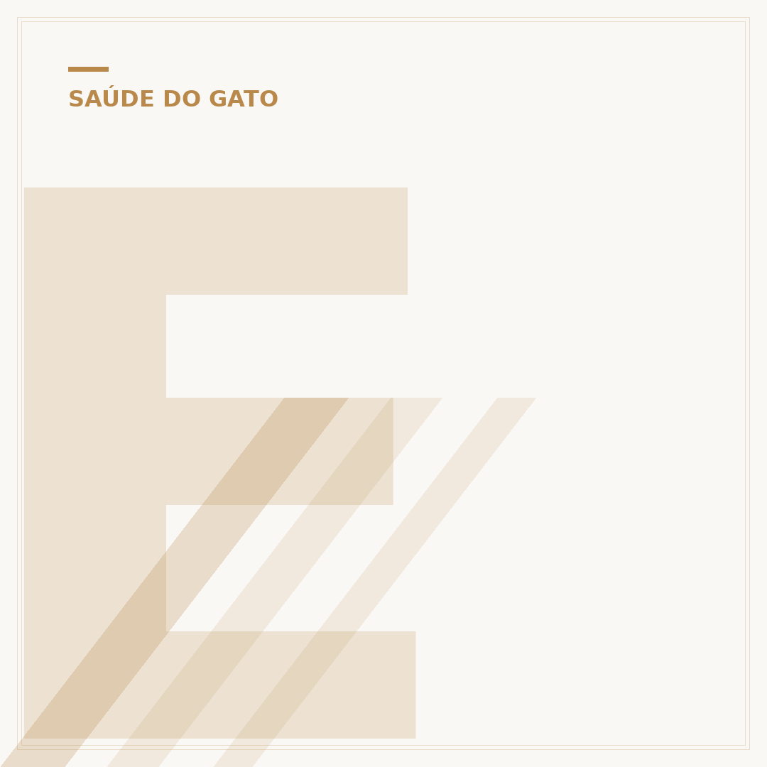 Exames em gatos