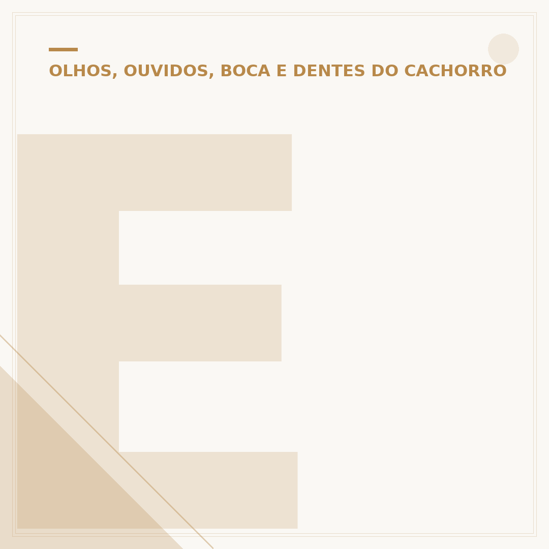 Excesso de remela no olho do cachorro: causas e cuidados