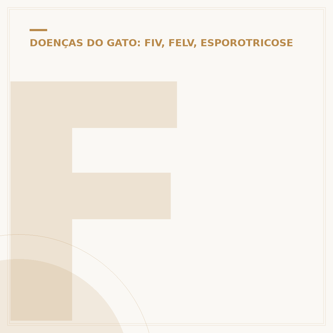 Felv positivo: o que significa para o seu gato