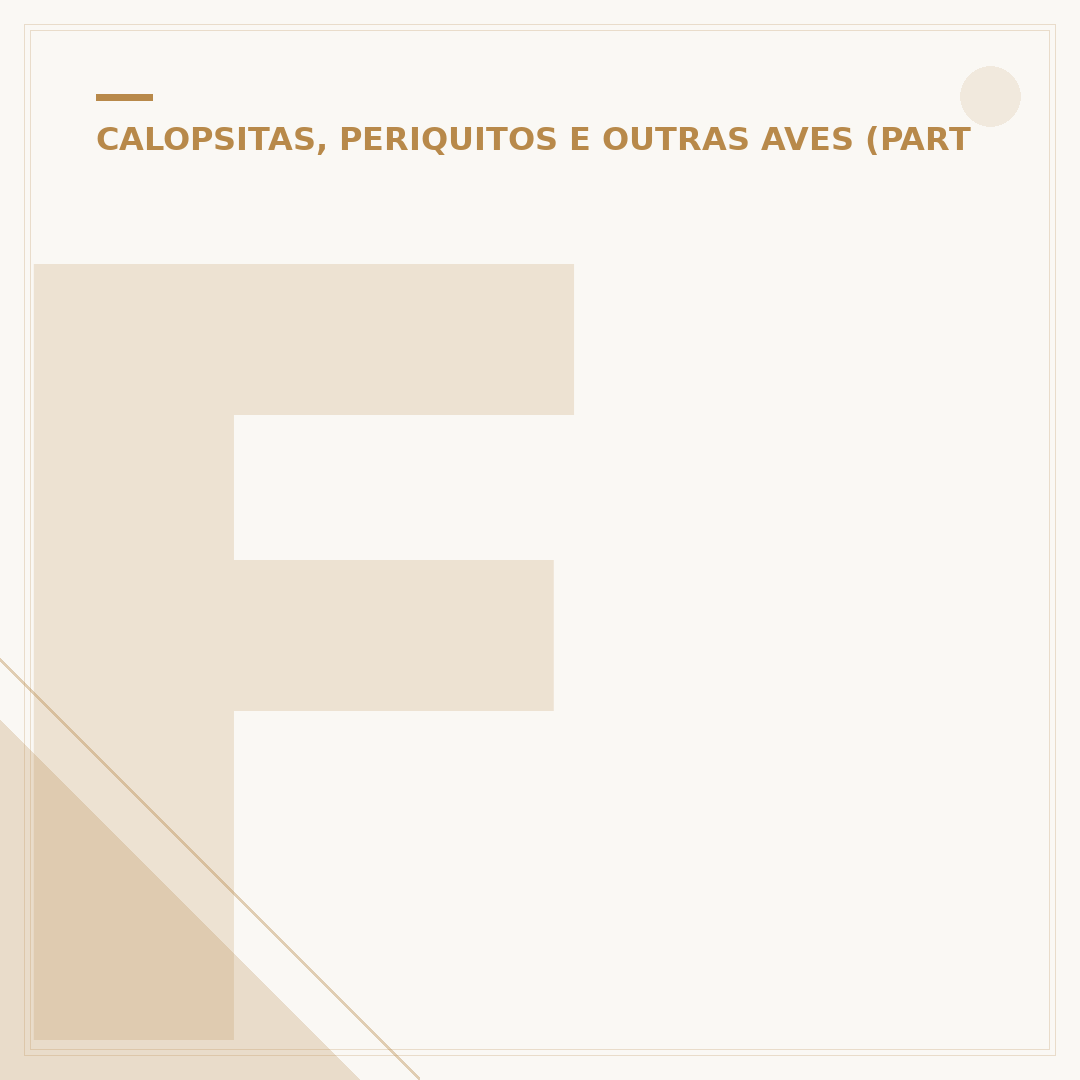 Fêmea de canário belga a cantar: entenda o comportamento