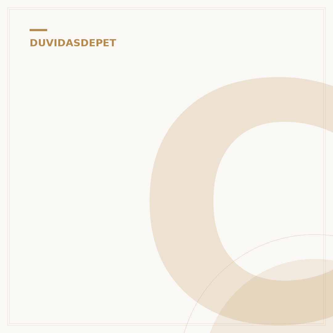 Como tratar feridas em cachorro